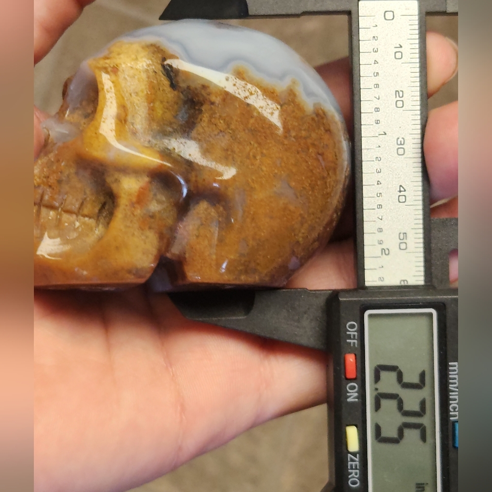 Rare Blue Banded Plume Moss Agate Skull, Druzy Quartz 💀 Crystal Collector Decor - Picture 12 of 13